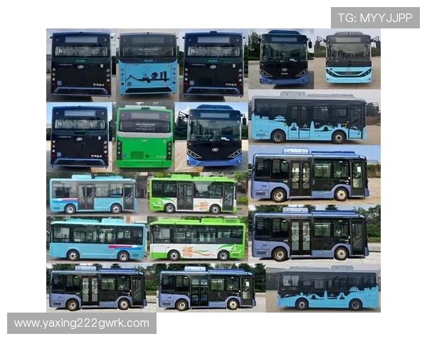 亚星手机版官方登录入口常见问题及解决方法全攻略