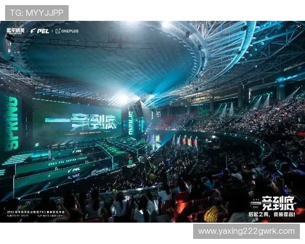 亚星游戏在电竞领域的布局与赛事举办，推动游戏产业的专业化发展